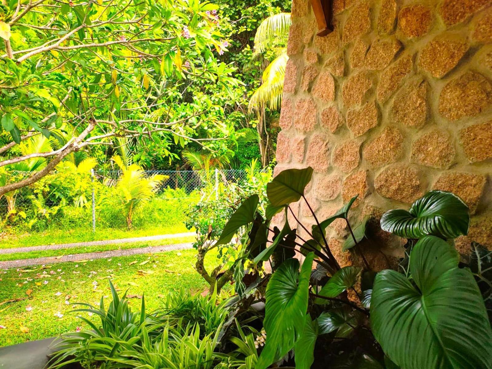 The Islander Hotel Grand Anse  Luaran gambar